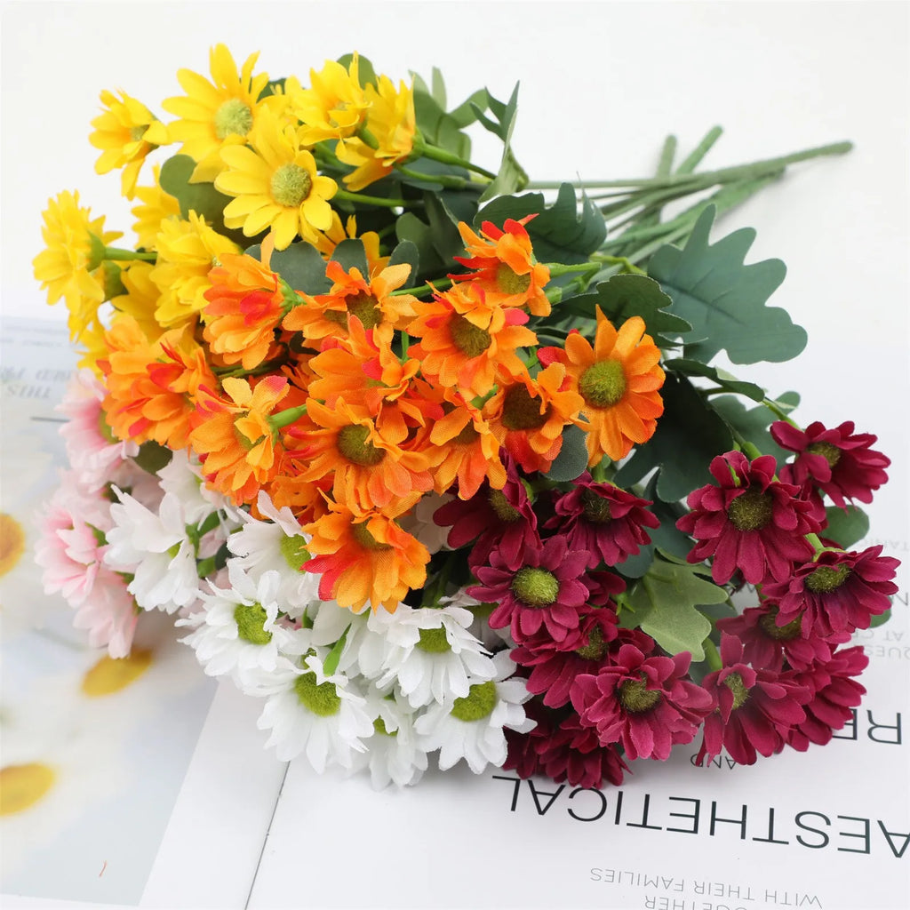 SunsetBloom™ – Crisantemos de exterior duraderos