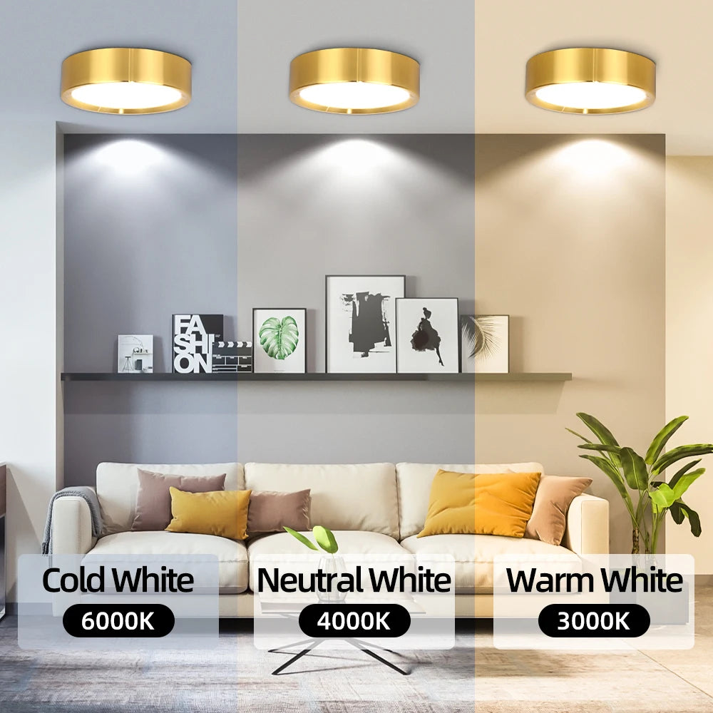 GlowShelf™ LED Wall Shelf ✨🏡 — Display in Style, Glow with Elegance