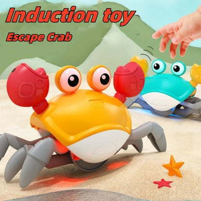 Crawling Crab Toy Shop1102486466 Store