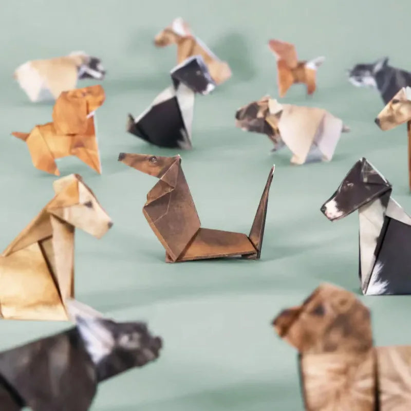 FoldiFun™ 3D Paper Animal Set