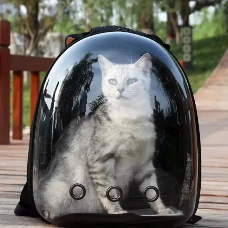 Portable Space Capsule Cat Bag – Lightweight, Ventilated Travel Carriers Smvp Pet Store