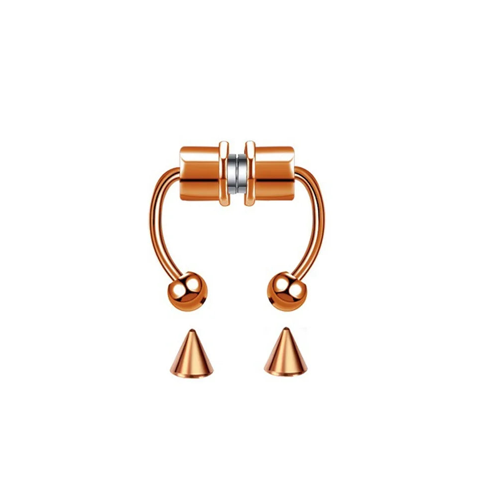 Magnet Nose Ring 5 Pack Stone's Store