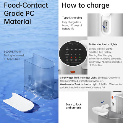 Pure Hydration, No Filters Needed – The Filter-Free Cat Fountain BOOTEELY LIFE Store