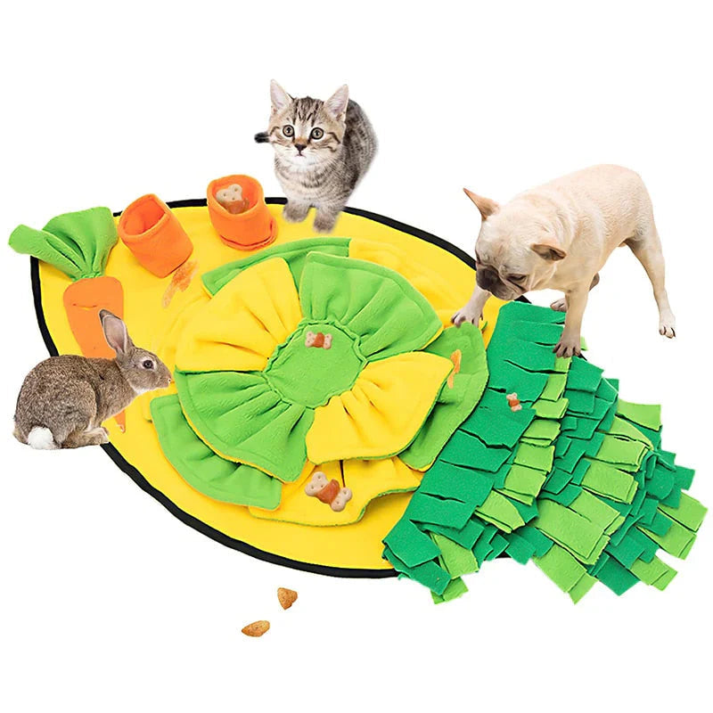 ScentQuest Interactive Sniffing Mat – SniffMaster Uncle Bill Kitchen Store