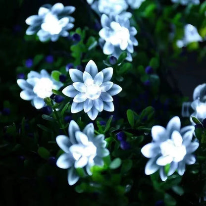 BlossomGlow – Solar-Powered Cherry Blossom Lights Shop1103809145 Store