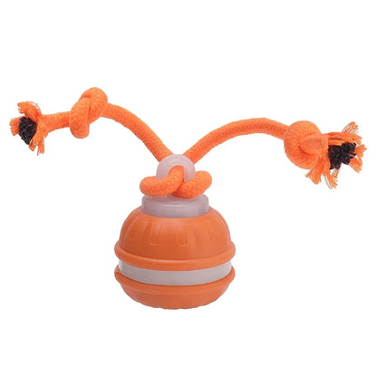 RolliPlay™ Smart Pet Ball 🐾⚡ Endless Chase Fun