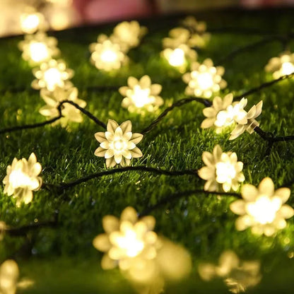 BlossomGlow – Solar-Powered Cherry Blossom Lights Shop1103809145 Store