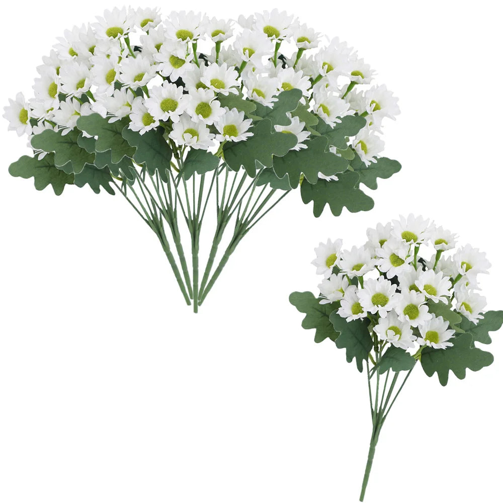SunsetBloom™ – Crisantemos de exterior duraderos
