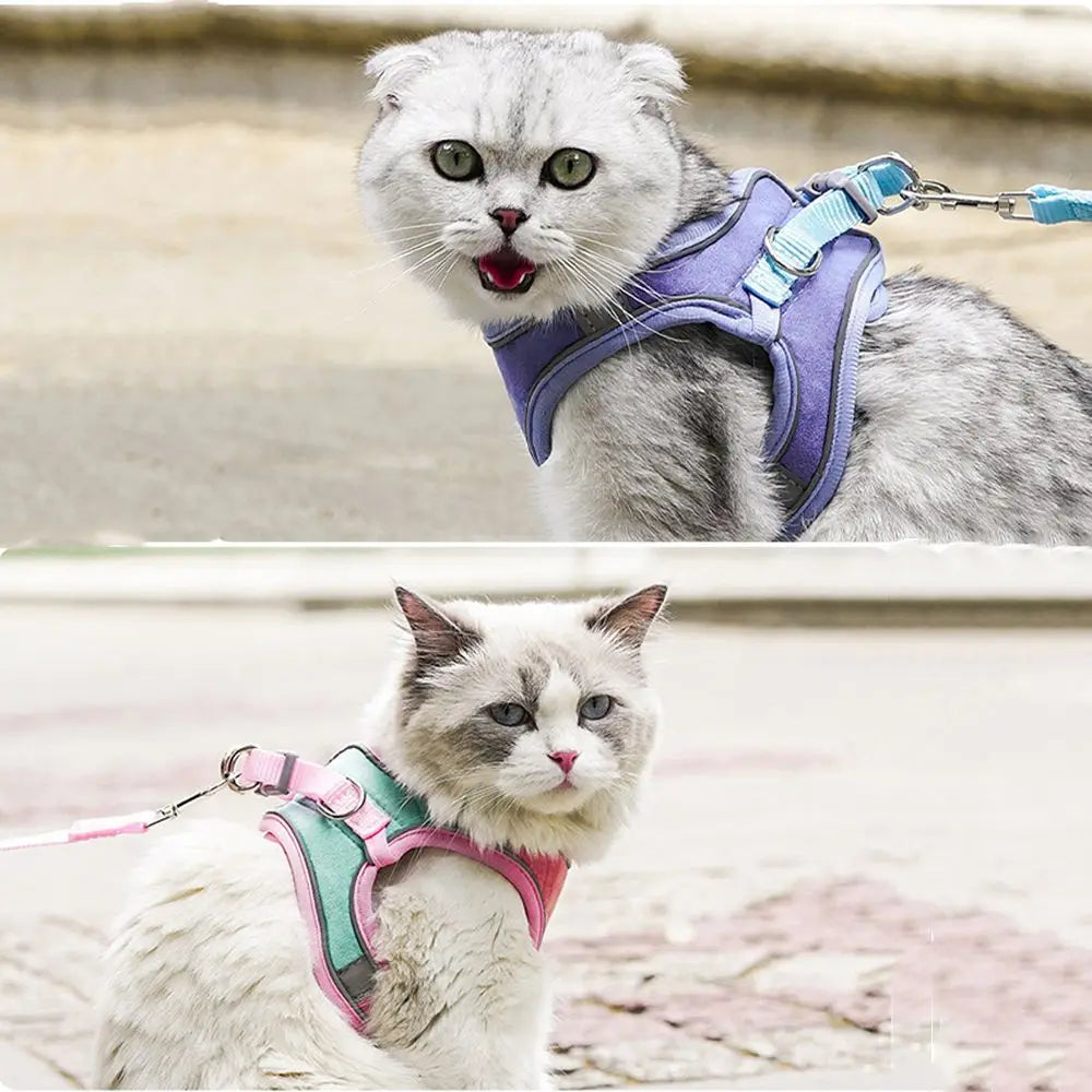 Small Cat Leash and Harness Set – Reflective, Escape-Proof with Bell" Shop1102981138 Store