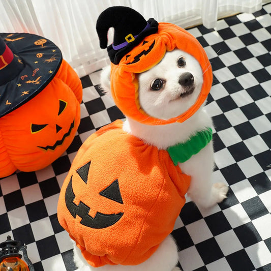 Pet Pumpkin Costume, Dog Funny Halloween Hat Cloth Suit, Adjustabe Cosplay Party Apparel for Cat Kitten Puppy South Bay Evans General Store