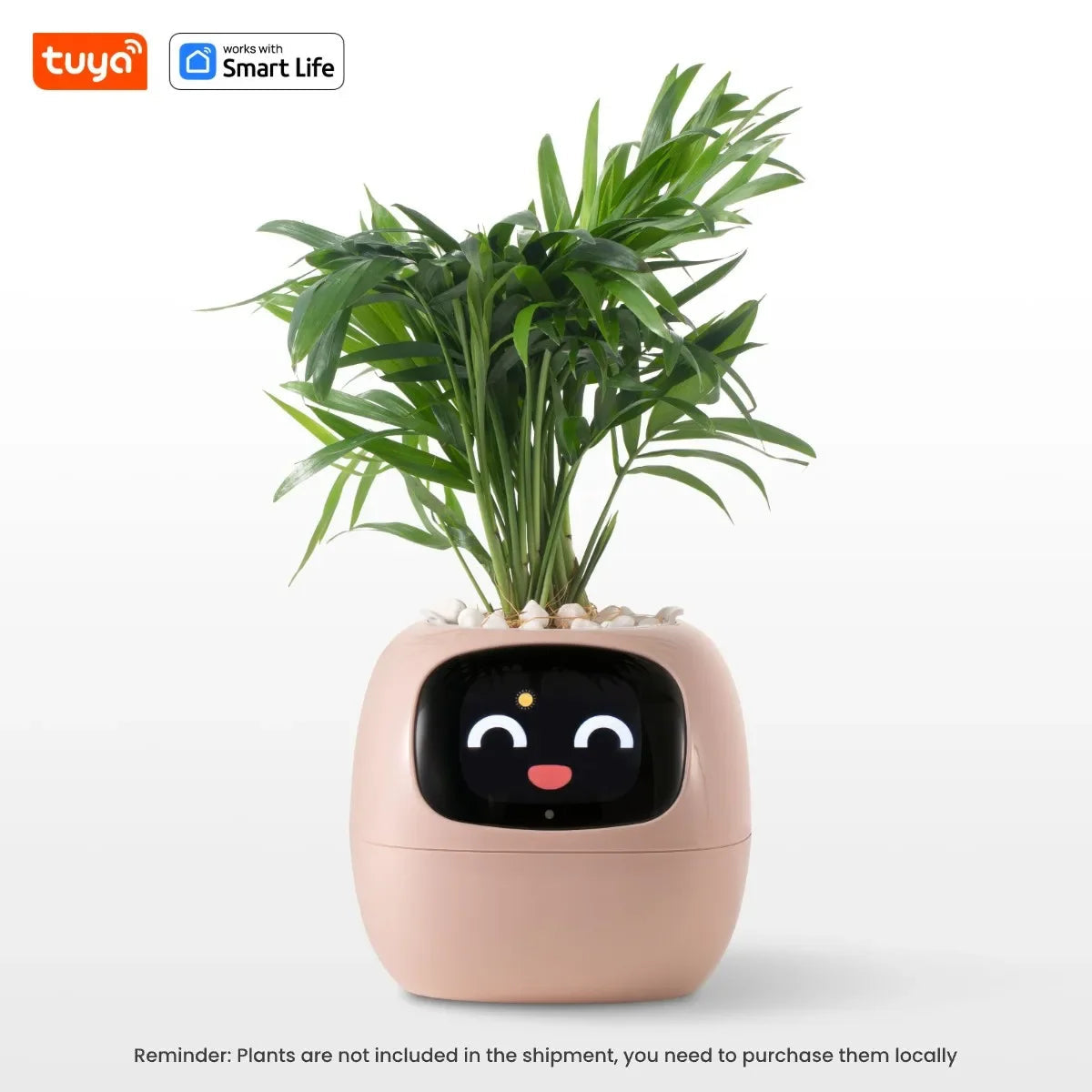 Tuya Ivy Smart Planter Bee Store