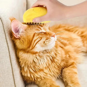 Cat Dog Steam Brush Electric Spray Water Spray Kitten Pet Comb Soft