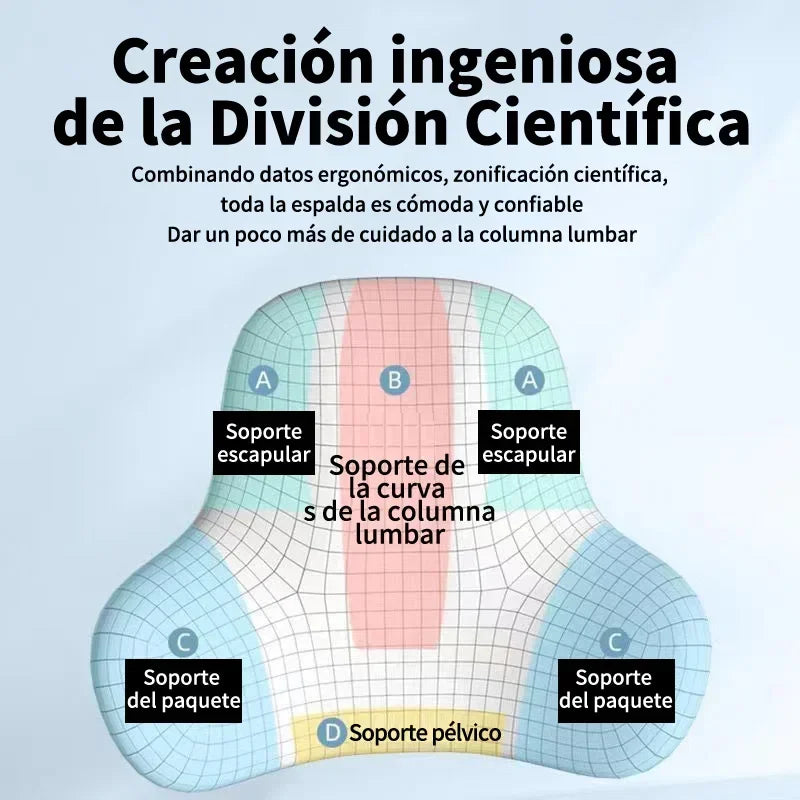Cojín lumbar