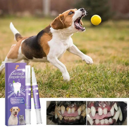 Fresh Breath, Happy Pets: Oral Repair Gel Arrangement LK Store
