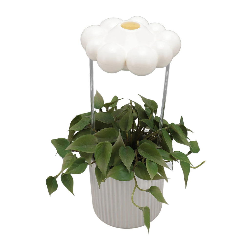 RainDrop™ Gotero para plantas en la nube 🌧️🪴 Regar, hecho magia