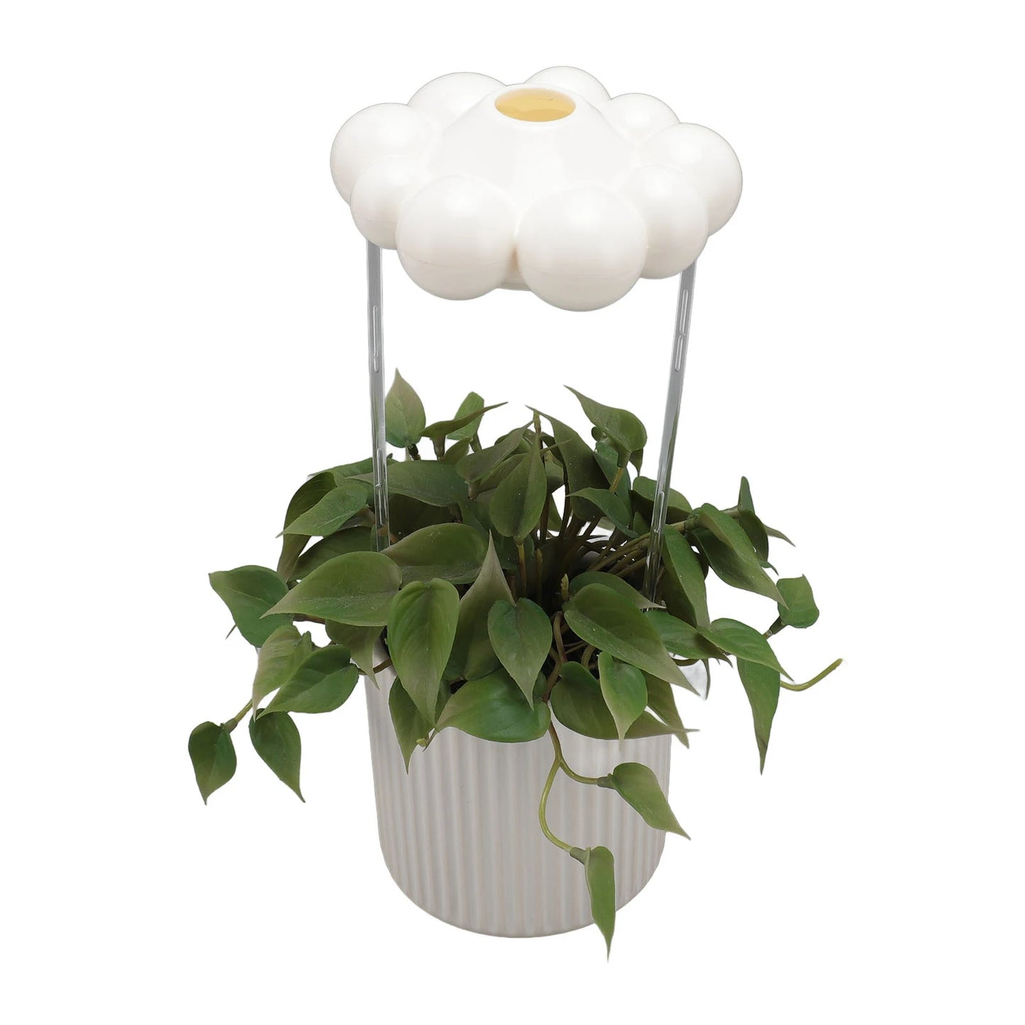 RainDrop™ Plant Cloud Dripper 🌧️🪴 Watering Made Magical