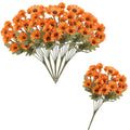 SunsetBloom™ – Crisantemos de exterior duraderos