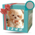 PawBuddy™ – The Lifelike Robotic Puppy Pal