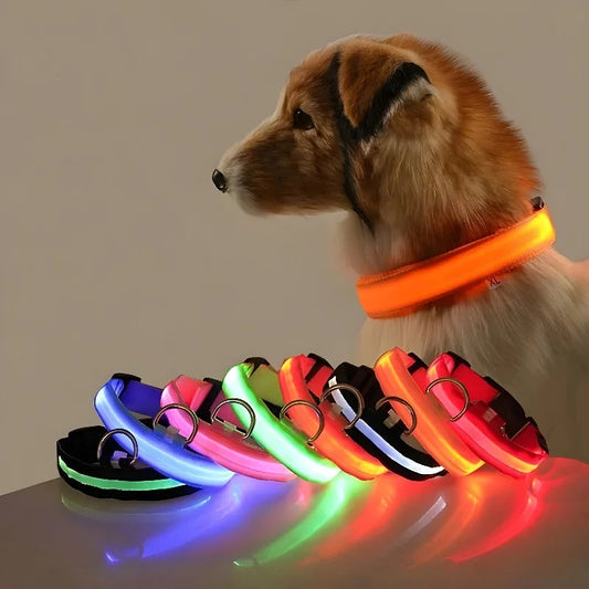 Dog Collar Nylon LED Night Safety Flashing Glow In The Dark Pet Dog Leash pet Dogs Luminous Fluorescent  dog accessories collar 7609 Pet Store