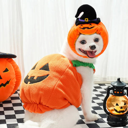 Pet Pumpkin Costume, Dog Funny Halloween Hat Cloth Suit, Adjustabe Cosplay Party Apparel for Cat Kitten Puppy South Bay Evans General Store