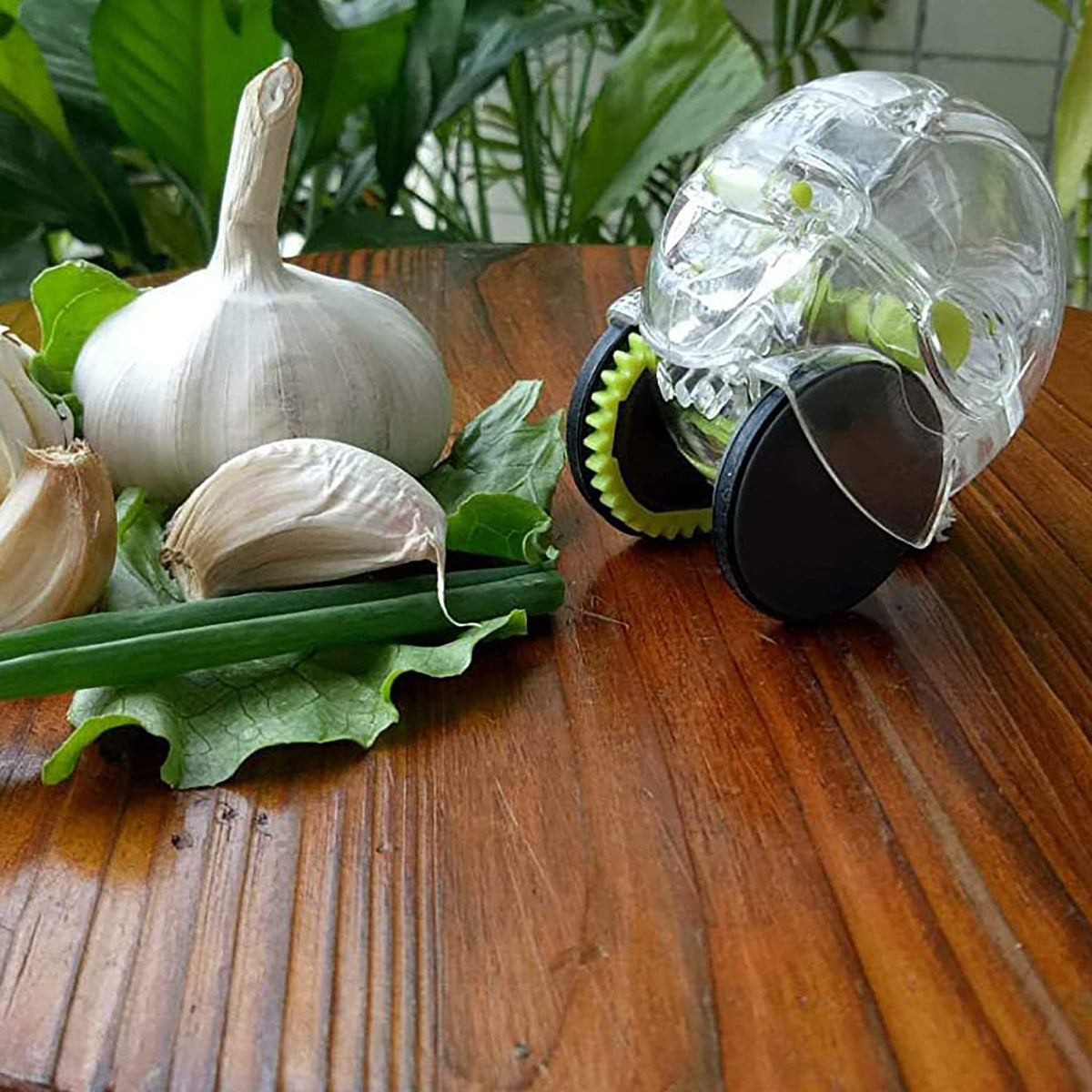 Rolling Garlic Mincer - Kitchen Gadget for Crushed Garlic Shop1103212724 Store