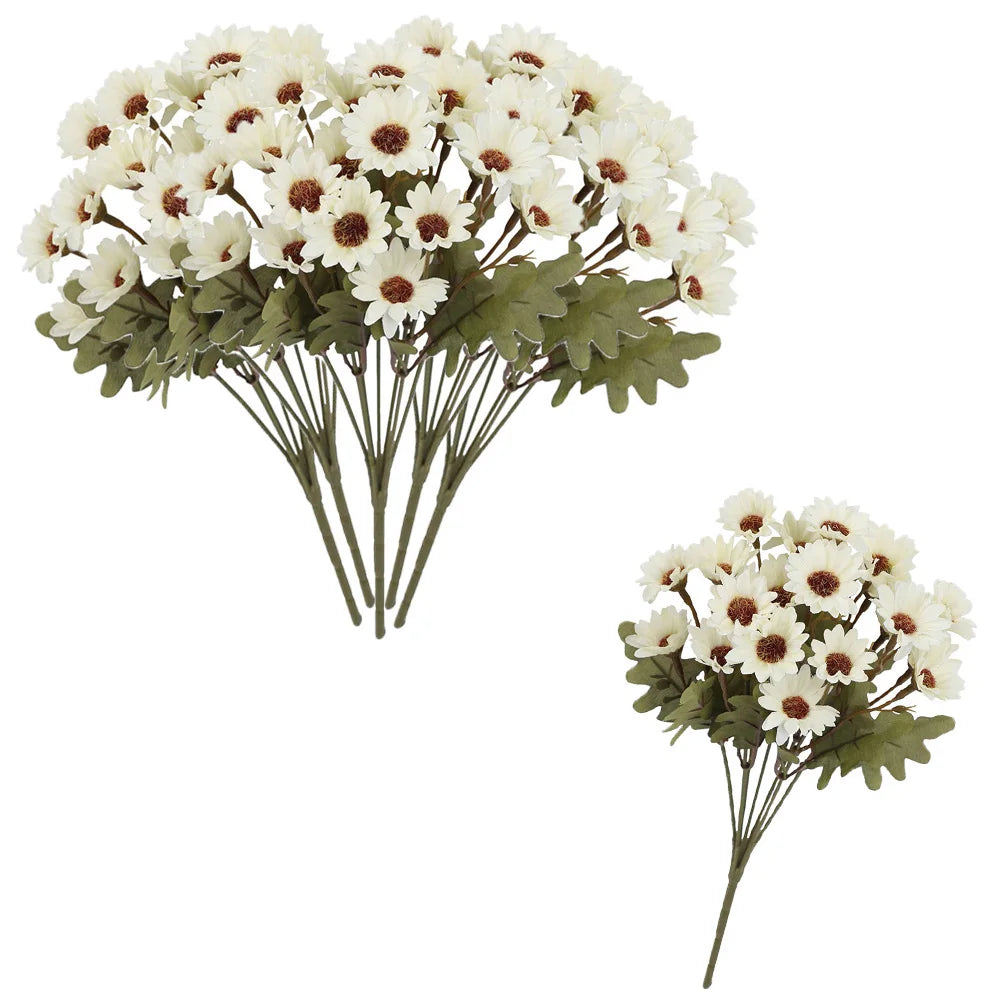 SunsetBloom™ – Crisantemos de exterior duraderos