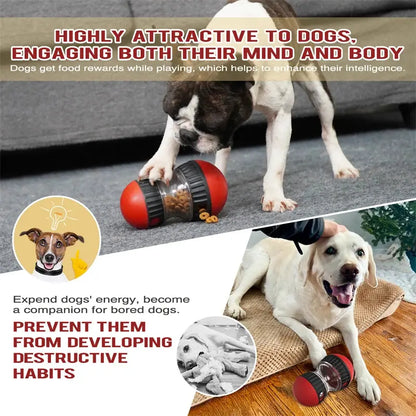 Dog Toys Increase Intelligence Elliptical Track Rolling Ball Leaky