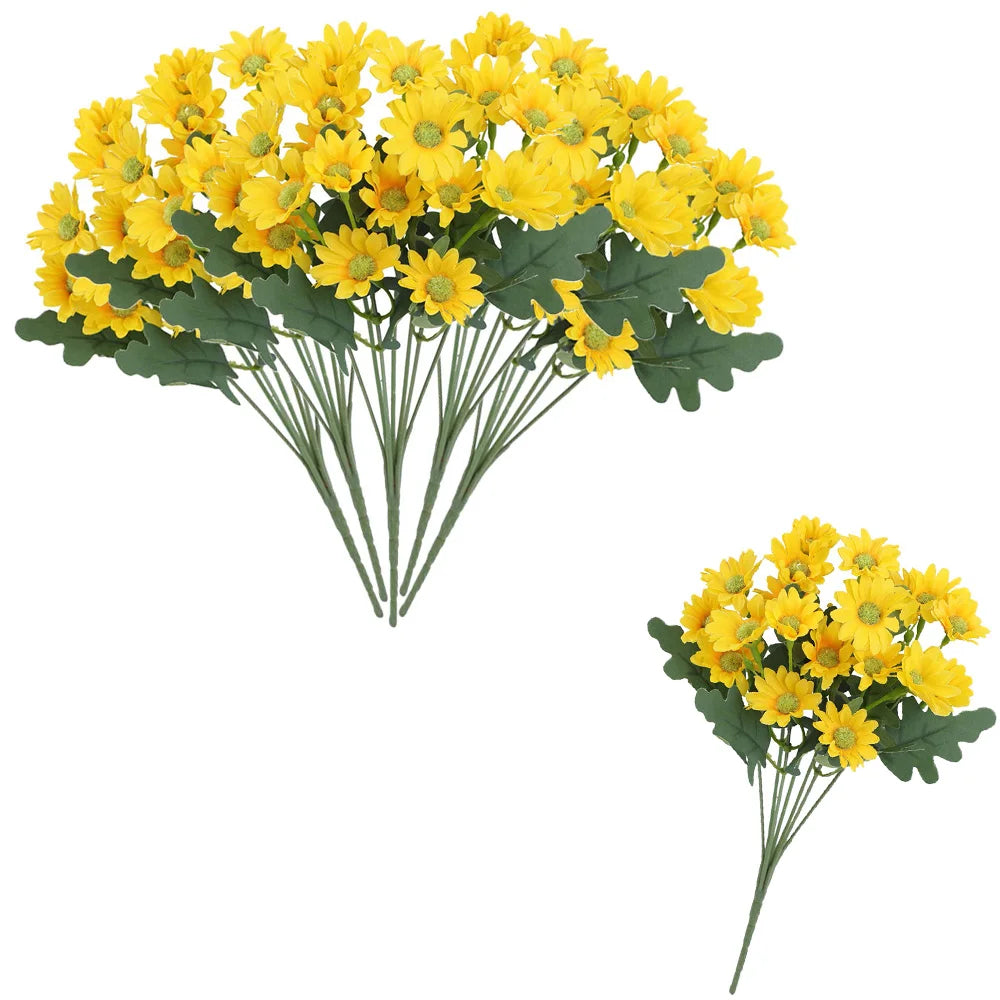SunsetBloom™ – Crisantemos de exterior duraderos