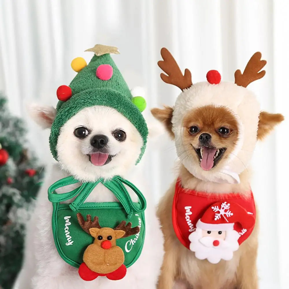 PawTree™ Hat – Festive Pet Style Made Easy