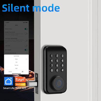 WiFi Smart Lock Pro with Keypad Touch RAYKUBE Global Store