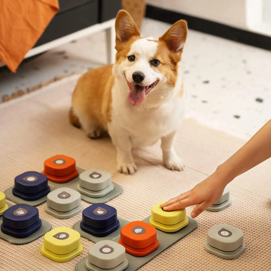 PetTalk Button: Give Your Dog a Voice! MEWOOFUN Official Store