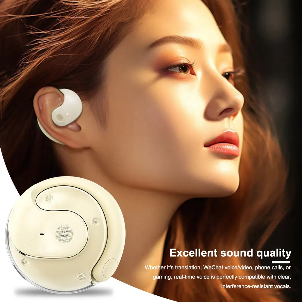 Wireless BT Translation Earbuds Real-time Translation Language AliExpress