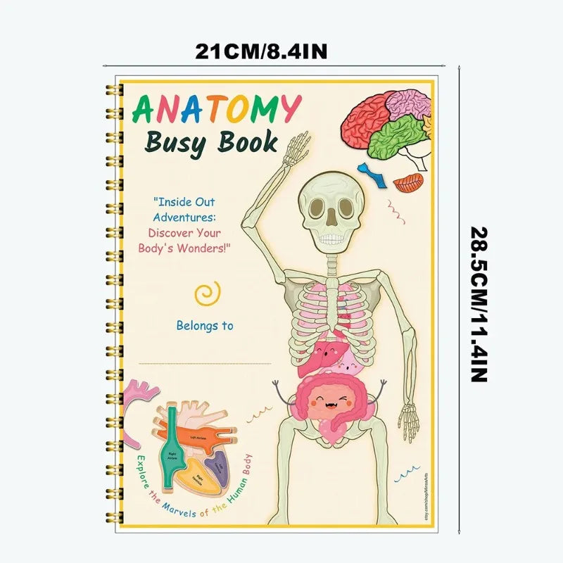 Explore & Play: Interactive Anatomy Busy Book