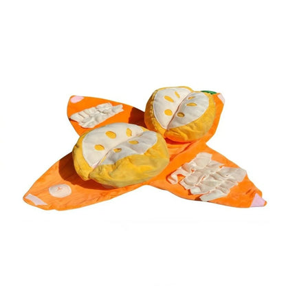 OrangeQuest™ Hide-and-Seek Toy 🍊🐾 Sniff. Search. Smile.