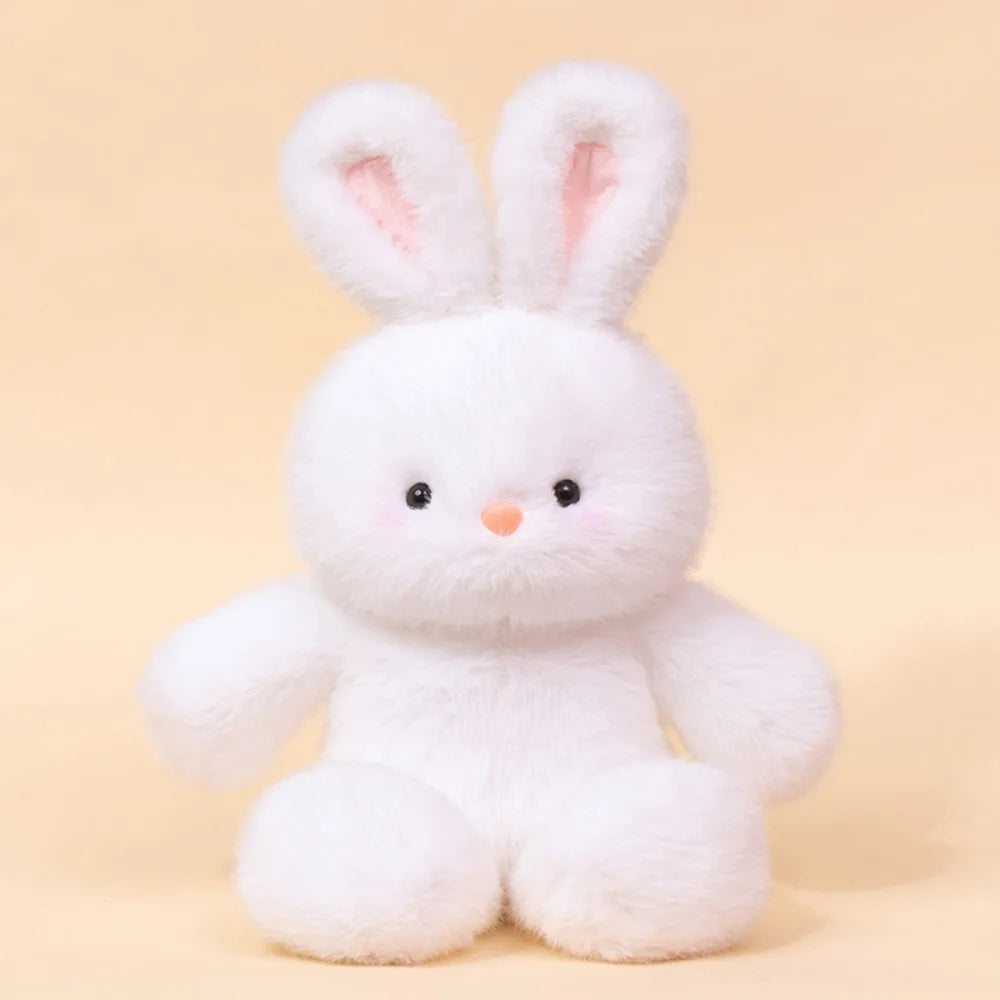 DashBear™ Peluche 🐻💨 — Diversión Corriendo, Sonrisas Infinitas