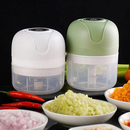 Mini Electric Garlic Chopper USB Meat Grinder Garlic Masher Machine AliExpress