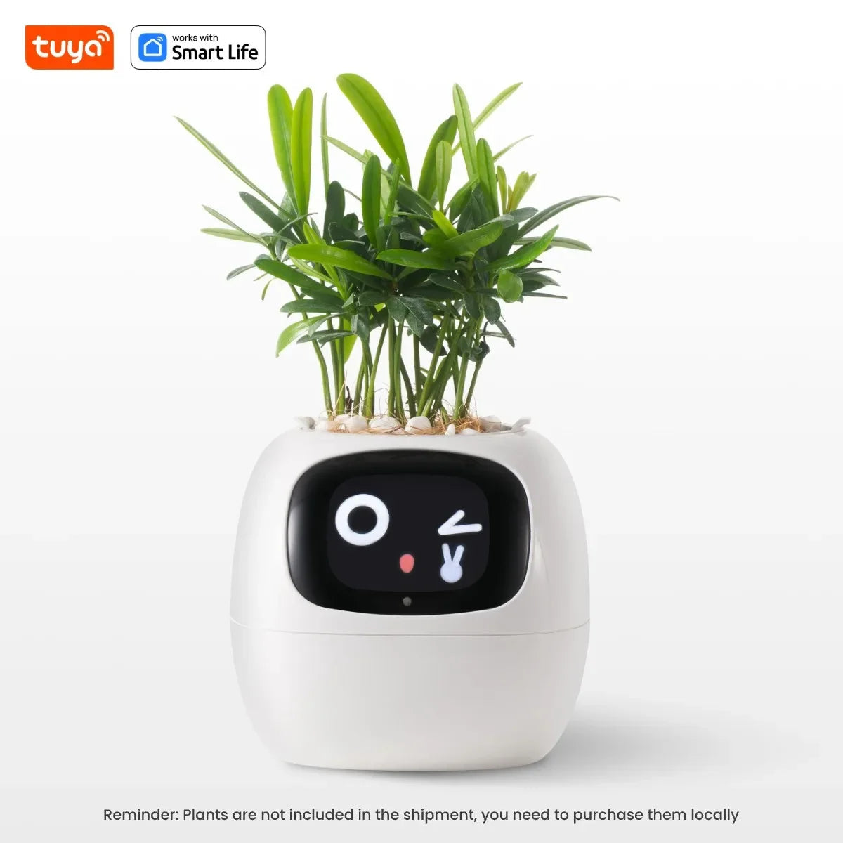 Tuya Ivy Smart Planter Bee Store