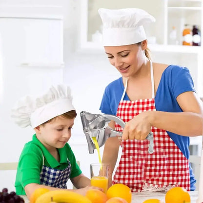 Manual Juice Squeezer Aluminum Alloy Hand Pressure Juicer Pomegranate AliExpress