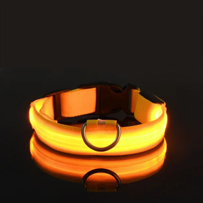 Dog Collar Nylon LED Night Safety Flashing Glow In The Dark Pet Dog Leash pet Dogs Luminous Fluorescent  dog accessories collar 7609 Pet Store