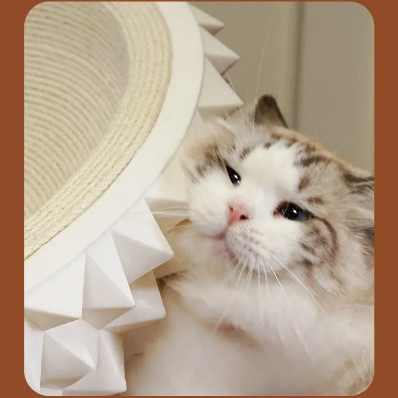 Scratch & Snooze Durian: Stylish Cat Nest with Sisal Fun Bello Pet House Store