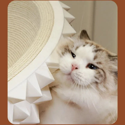 Scratch & Snooze Durian: Stylish Cat Nest with Sisal Fun Bello Pet House Store