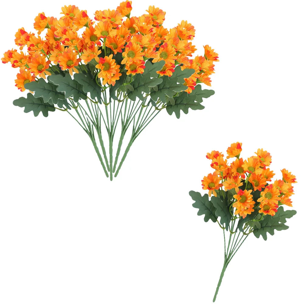 SunsetBloom™ – Crisantemos de exterior duraderos