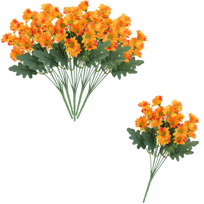 SunsetBloom™ – Everlasting Outdoor Mums