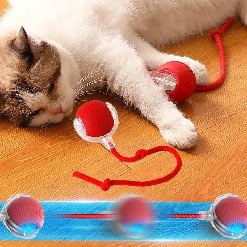 Juguetes inteligentes para gatos, bola rodante automática, cola falsa, eléctrica recargable