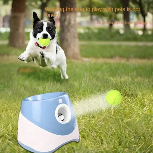 Automatic Dog Launcher for Interactive Play Nine Thousand Store