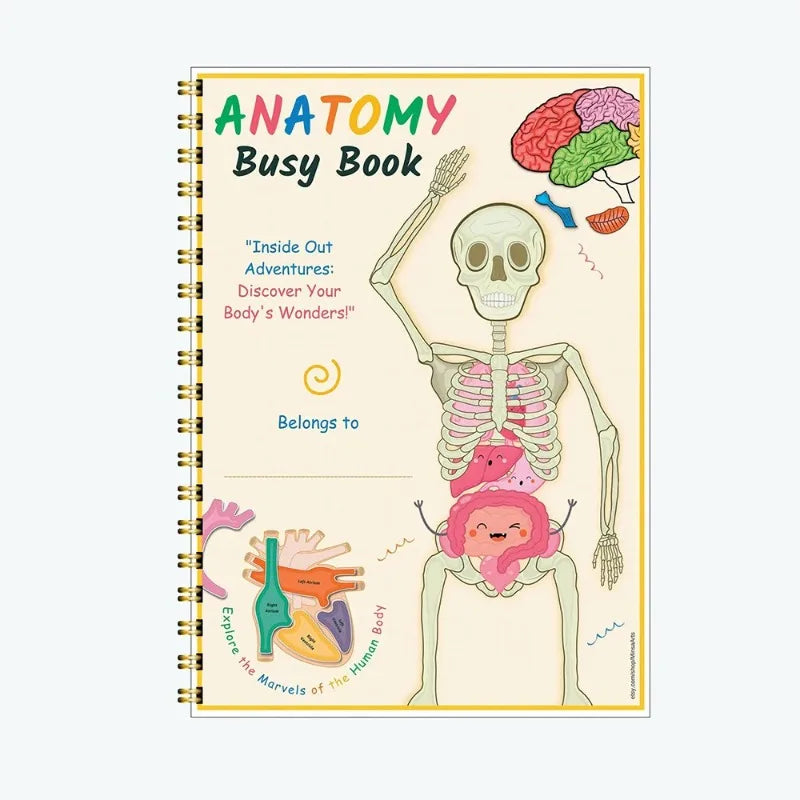 Explore & Play: Interactive Anatomy Busy Book