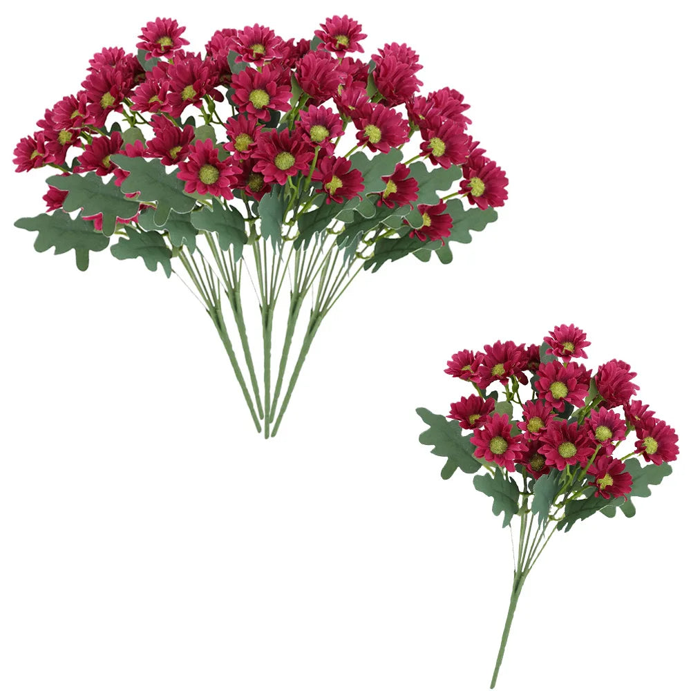SunsetBloom™ – Crisantemos de exterior duraderos