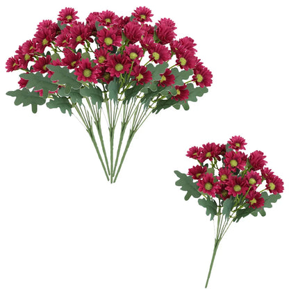 SunsetBloom™ – Everlasting Outdoor Mums