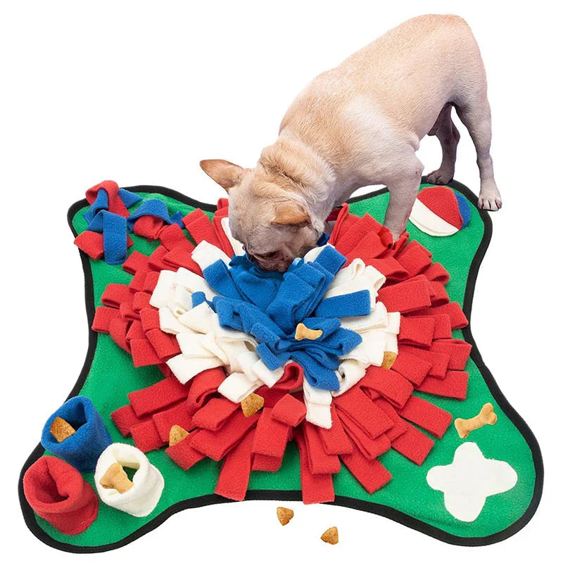 ScentQuest Interactive Sniffing Mat – SniffMaster Uncle Bill Kitchen Store