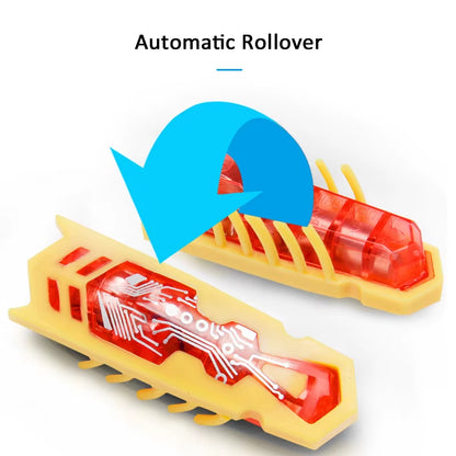 Pet Interactive Electric Bug Cat Escape Obstacle Automatic Flip Toy Battery Operated Vibration Pet Beetle Playing Toy